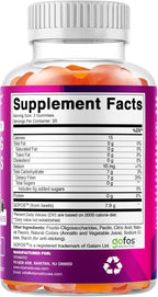 Vitamatic Prebiotic Fiber Gummies for Adults – 2 Pack (Total 120 Gummies) 7g Fiber per Serving | Extra Strength | Zero Sugar Added | Pectin-Based | Digestive Health & Regularity Support
