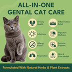 YOTANGO Natural Antibiotics for Cats, Cat Antibiotics for UTI & Itch Support, Immune, Digestive, Allergy, Skin & Coat Support for Cats and Kittens, for All Ages & Breeds (Chicken Flavor-60ml 2 Pack)