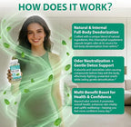 Chlorophyll Capsules Internal Body Deodorant Supplement for Women and Men for Gut Health, Fresh Breath, Skin Health, Detox & Digestion Support, Natural Odor Remove, Vegan, Non-GMO-30 Capsules