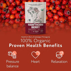 Zhivana Organics Organic Hawthorn Berry (8oz.) - Hawthorne Tea for Herbal Teas, Infusions, Tinctures, Culinary Recipes