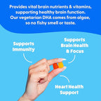 Feel Great Omega & DHA Gummies for Adults Plant Based Omega 3 Fish Oil Alternative | Vegetarian | Vitamin C, Chia, and Omega3, Supports Brain, Immune, Prenatal Functions, (60 Count)