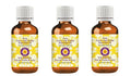 Deve Herbes Pure Curry Leaf (Patta) Essential Oil (Murraya koenigii) Steam Distilled (Pack of Three) 100ml X 3 (10 oz)