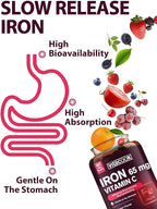 Iron Supplement for Women Men, High Potency Iron 65mg with Vitamin C 250mg, Stomach Friendly Iron Pills for Red Blood Cell & Immune Support, Vegan, Non-GMO & Gluten Free, 60 Tablets
