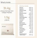 ProMix Nutrition Collagen Peptides, Chocolate - Hydrolyzed Collagen Protein Promotes Healthy Skin, Bones, Joints & Recovery Support - Add to Shakes, Smoothies - 2.5 Pound (Pack of 1)