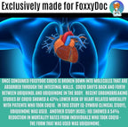 CoQ10 - Co-Enzyme Q10-200 mg -High Absorption - 400 mg per 2 caps - Non-GMO - Gluten Free - 200 Veg. Caps - Heart & Cellular Support - Made in USA by Foxxy Doc