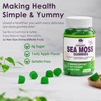 (2 Pack) Sea Moss Gummies - Irish Sea Moss Gummies for Adults & Kids - Advanced Superfood Seamoss Supplement with Organic Bladderwrack & Burdock Root Extract，ACV for Daily Immune, Gut Cleanse, Vegan