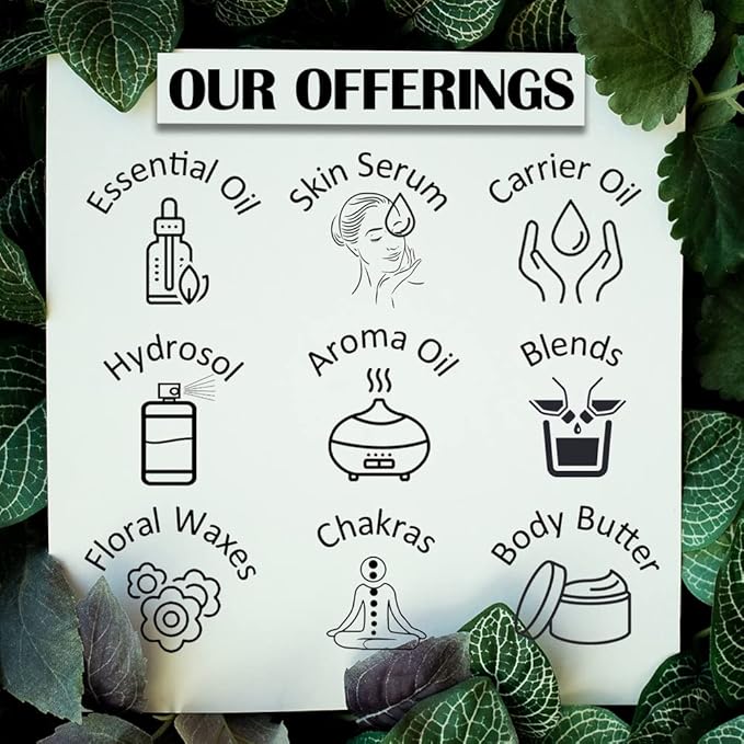 Deve Herbes Marula Oil (Sclerocarya birrea) | Cold Pressed | Pure | Natural | Undiluted | For Diluting Essential oils | For Skin & Massage | Non-Sticky| Lightweight| Men & Women | 15ml (0.50 oz)