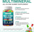Sea Moss Gummies - Irish Sea Moss Gummies Advanced for Adults with Ashwagandha Bladderwrack & Burdock Root for Supports Immune，Energy - 60 Vegan Gummy,2PCS