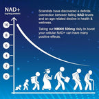 NMNH (Dihydronicotinamide Mononucleotide), NAD Supplement to Boost NAD+ Levels as We Age (May Be More Effective Than Nicotinamide Riboside) for Anti Aging, Energy Focus - 120 Capsule