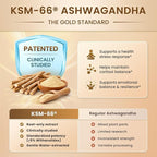 10-IN-1 Cortisol Supplements w/ KSM-66® Ashwagandha 300mg + L-Theanine 250mg, Magnesium Glycinate, Saffron, Phosphatidylserine, Turmeric & Vitamin C D3 B6 B5, For Women Men, 120 Capsules 2 Pack