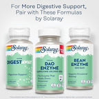 SOLARAY DAO Enzyme - Digestive Enzyme That Breaks Down Histamine - 60,000 HDU - Digestive Enzymes - Vegan, Gluten Free, Lab Verified - 135 Servings, 135 VegCaps