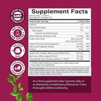 Apple Cider Vinegar Gummies with the Mother-Natural Energy Supplement ACV Gummies with Mother for Body Cleanse Immune Support and Gut Health-Delicious Gummy ACV Supplement with Beet Root Powder 2 pack