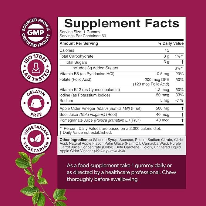 Apple Cider Vinegar Gummies with the Mother-Natural Energy Supplement ACV Gummies with Mother for Body Cleanse Immune Support and Gut Health-Delicious Gummy ACV Supplement with Beet Root Powder 2 pack
