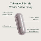 Primal Harvest Stress Relief Supplement for Women and Men Pure Ashwagandha Root Extract, L-Theanine Supplements, 60 Capsules