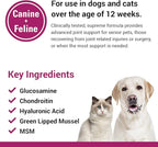Vet Classics ArthriEASE-Gold Advanced Joint Support for Dogs, Cats, – Supports Pet Flexibility, Discomfort – Helps Improve Dog Joint Movement, Cat Cartilage Health - Includes Antioxidants – 120 Ct.
