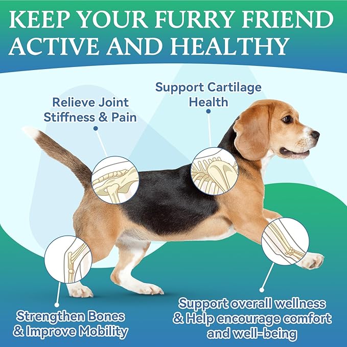 Joint Supplement for Dogs - Dog Joint Supplement Glucosamine Hip and Joint Chondroitin Chews Treats for Dogs with MSM Lipid Mussels Vitamins Dog Joint Support for All Breed 200pcs