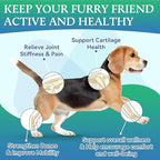 Joint Supplement for Dogs - Dog Joint Supplement Glucosamine Hip and Joint Chondroitin Chews Treats for Dogs with MSM Lipid Mussels Vitamins Dog Joint Support for All Breed 200pcs