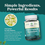 Chlorophyll Gummies for Cleanse & Detox Support - Potent Internal Deodorizer Chloropyll Supplements for Body Odor Healthy Skin Immunity & Digestive Support - Vegan Non-GMO & Gluten Free (3 Pack)