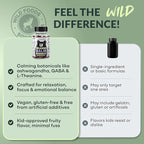 Wild Foods Kids Calm Gummies - Ashwagandha Gummies for Kids w/GABA, L-Theanine, Lemon Balm & Charmomile - Support Natural Relaxation, Stress Relief & Sleep, for Children 4+, Berry Flavor, 60 Count
