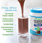 Orgain Organic Vegan Protein Powder + Oat Milk, Chocolate - 20g Plant Based Protein, Gluten Free, No Dairy, Soy or Lactose Ingredients, Low Sugar, Non-GMO, Kosher, For Shakes & Smoothies - 1.05lb