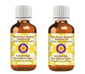 Deve Herbes Pure Gurjun Balsam Essential Oil (Dipterocarpus turbinatus) Steam Distilled (Pack of Two) 100ml X 2 (6.76 oz)