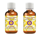 Deve Herbes Pure Gurjun Balsam Essential Oil (Dipterocarpus turbinatus) Steam Distilled (Pack of Two) 100ml X 2 (6.76 oz)