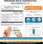 Power By Naturals Sea Moss Plus – USDA Organic Irish Sea Moss Capsules with Bladderwrack & Burdock Root – Immune Support for Adults – Vegan, Non-GMO, Gluten-Free – 60 Capsules (1-Month Supply)