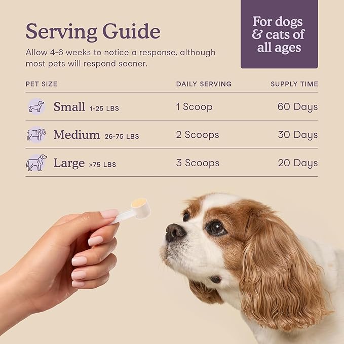 Fera Pets Calming Supplement for Dogs & Cats with Probiotics, L-Theanine, and Ashwagandha - Supports Anxiety Relief - Promotes Relaxation - 60 Scoops