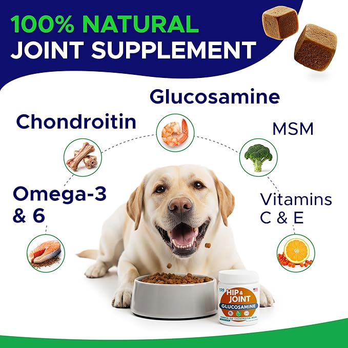 Glucosamine for Dogs Hip & Joint Supplement - Chondroitin, Omega-3, MSM - Joint Health & Pain Relief - Senior & Large Dogs - Made in USA - 120Ct