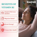2 Pack Vitamin B2 Gummies - Riboflavin 400mg Supplement with Magnesium for Adults, B2 Gummies for Migraine Relief* & Nervous System Support* - Vegan, Sugar-Free, Raspberry-Lemon Flavor, 120 Count