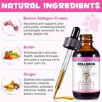 Liquid Collagen for Cats, Cats Collagen Liquid Drops with Biotin, MSM & Ginger Immunity Support, Itch Relief, Skin & Coat and Joint Health Supplement for Cat 60ml
