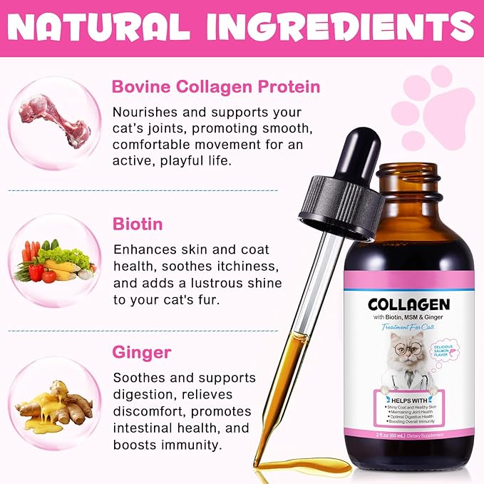 Liquid Collagen for Cats, Cats Collagen Liquid Drops with Biotin, MSM & Ginger Immunity Support, Itch Relief, Skin & Coat and Joint Health Supplement for Cat 60ml