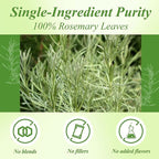 WT WEETEE Rosemary Leaf Tea Bags 100 Count,100% Caffeine-Free Herbal Tea Made from Pure Rosemary Leaves, Supports Digestion & Antioxidants