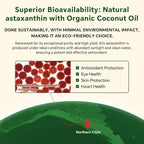Vegan Omega 3 Gummies 1200mg - Dual Layer - Fish Oil Alternative, Marine Algae Omega 3 Supplement DHA 600mg, EPA 400mg with Astaxanthin,Sugar Free,60 Cts