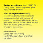 Bach RESCUE PASTILLES, Mixed Berry Flavor, Stress Relief Lozenges, Homeopathic, Flower Essences, 35 Count