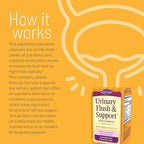 Nature's Secret Urinary Flush & Support with Cranberry - 60 Capsules - 2 Pack