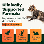 VetriScience Ultimate Strength Healthy Hip & Joint Powder, GlycoFlex Glucosamine, Chondroitin and Green Lipped Mussels Joint Supplement for Cats, Cheese & Chicken, 60 Scoops