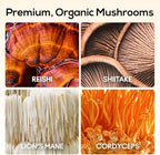 TrueMushroom - Sleep Support Mushroom Gummy Supplement with Melatonin for Sleep and Relaxation with Lion’s Mane, Cordyceps, Reishi, Shiitake. All-Natural, BlackBerry Flavor Gummies (60 Count)