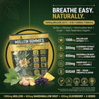 Mullein Gummies, 8-in-1 Natural Herbal Blend, Pineapple Flavor, 60 Count, Respiratory Support Supplement with Elderberry, Vitamin C, Ginger Root
