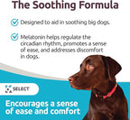 K9 Select Dog Melatonin for Large Dogs - Composure Dog Calming Chews - Canine Melatonin for Sleep - Reduce Stress for Large Canines - 6 mg, 90 Beef Flavored Chewable Tablets