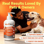 WuffWell Liquid Glucosamine for Dogs Hip & Joint Support with Chondroitin, MSM & Hyaluronic Acid, Dog Joint Supplement for Mobility & Cartilage Health, Easy Pump Dosage, All Breeds, Made in USA, 16oz