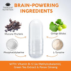 TWINLEAF NUTRITION Dopamine Brain Support Supplement, 1000 mg Blend - Made in USA - with DMAE, Vitamin B12 and L-Tyrosine - Enhance Mental Well-Being - 60 Capsules