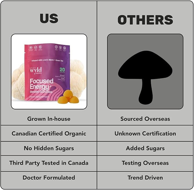 Stay Wyld Organics, Focused Energy+ Mushroom Gummies, 20 Servings, with Lion's Mane & Green Tea - Clean Energy Mushroom Supplement, Mental Focus Gummies, Lions Mane Supplement, Low Sugar & Gluten-Free