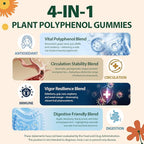 Polyphenol Gummies, Plant-Based Formula with Resveratrol, Elderberry, Grape, Turmeric,Green Tea, Cranberry Extract, Vitamins & Minerals, Superfood Blend, Mixed Berry Flavor, 120 Gummies