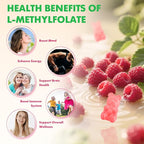 MEENCCD 2 Pack L-Methylfolate 15mg Gummies, Methylfolate Supplement, 5-MTHF Supplement - Active 5-MTHF - Supports Overall Wellness, Vegan, Raspberry Flavor, 120 Count