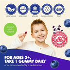 DR. MORITZ Sugar-Free Calm Magnesium Gummies for Kids and Adults - Non-GMO Magnesium Citrate Gummies - Blueberry Flavor - 2-Pack (60 Count)