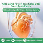 Odorless Aged Garlic Extract Gummies,7500mg Garlic,2 Years Aged Garlic Extract,Grown Allium Sativum Bulb,Potent Antioxidant Supplement,Immune Support,Heart Health,Green Apple Flavor