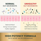 VetriScience Extra Strength Gut Health Probiotic & Prebiotic Digestive Supplements for Dogs & Cats, Gas & Diarrhea & Immune Support, Easy-Open Capsules, 180 Count - New Look