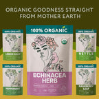 Organic Echinacea Herb (10oz.) – Echinacea Purpurea Tea Loose Leaf - Equinacea Organica - Body Defenses, Immune Support Tea