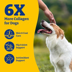 Collagen for Dogs - Collagen Soft Chews for Hip, Joint, Cartilage & Mobility Support, Skin & Coat Supplement for Dogs, with Types I, II & III Collagen and Superfood - 110 Count, Duck & Pear Flavor